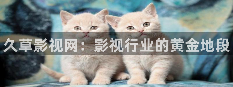 悟空影院神马