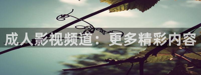 糖画孙悟空的视频