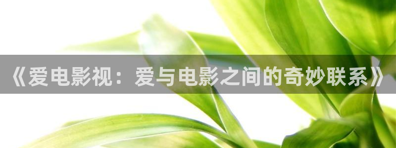 关于孙悟空的视频