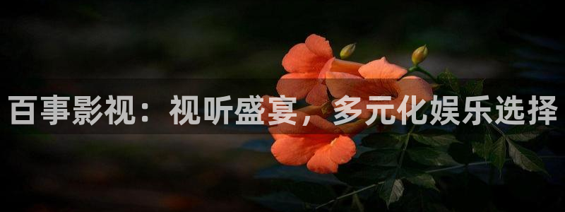 悟空电影天堂完整免费看