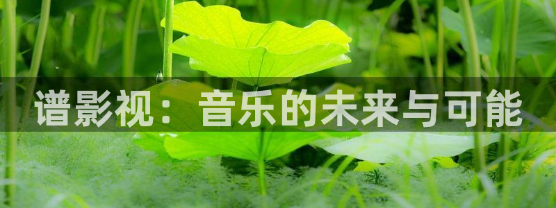 悟空在线播放