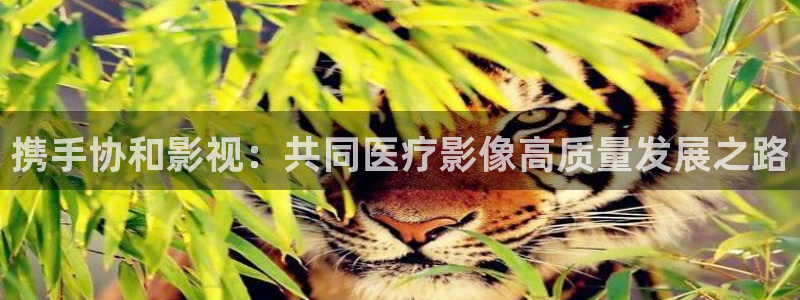 悟空电影在线观看完整版