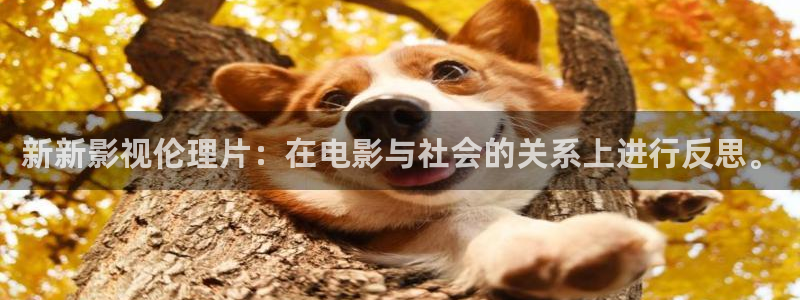 悟空视频