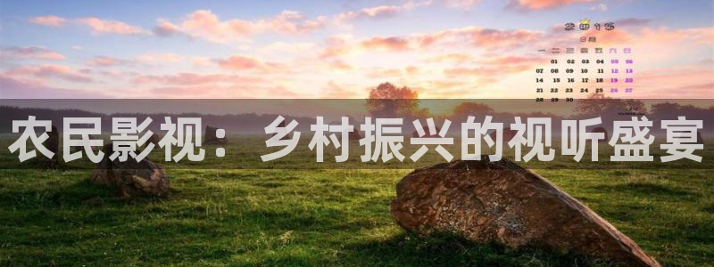悟空 视频