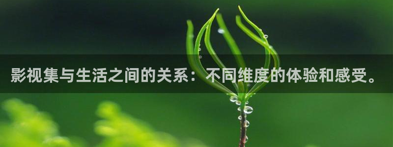 悟空 视频